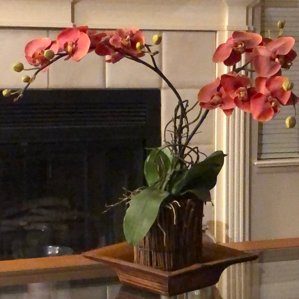 Floral arrangement